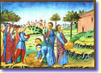La moltiplicazione dei pani, miniatura di Cristoforo de Predis 1476 Historia del nuovo testamento