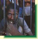 Prigionieri ad Haiti
