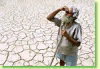 ambiente in pericolo: la siccit